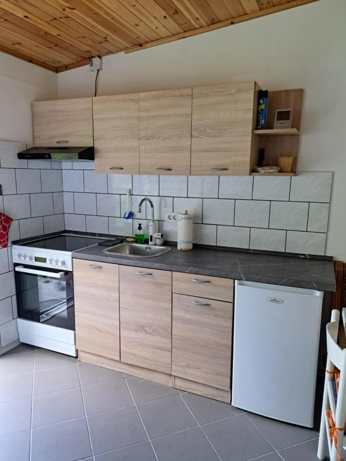 Pri Ani Ruscovi Apartment Bovec Luaran gambar